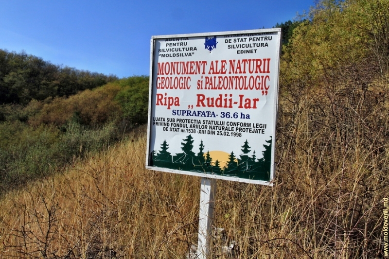 rudyi_yar1